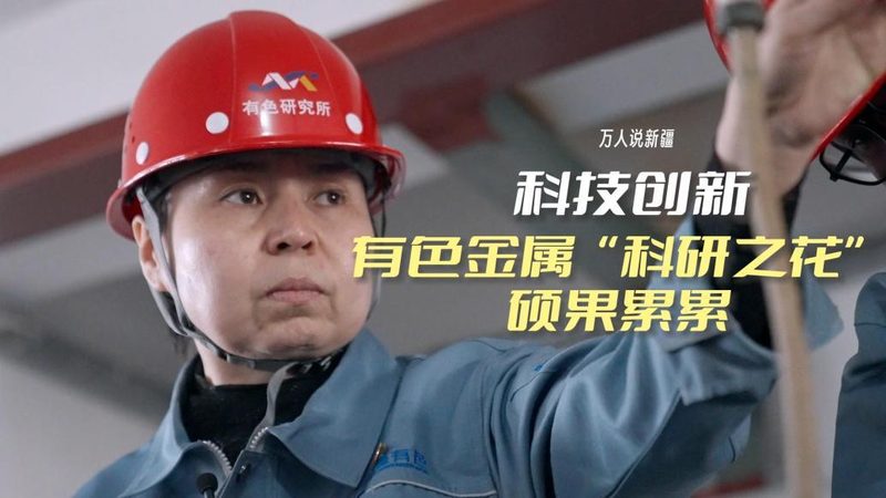 互联网技术安全规范标准：实施方法与关键要素